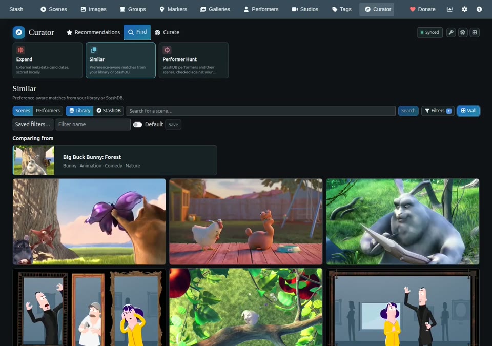 Find with Expand, Similar, and Performer Hunt tabs above six related scene previews